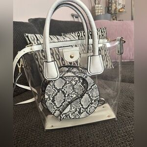 Clear and Snakeskin Patterned Women's Bag Set